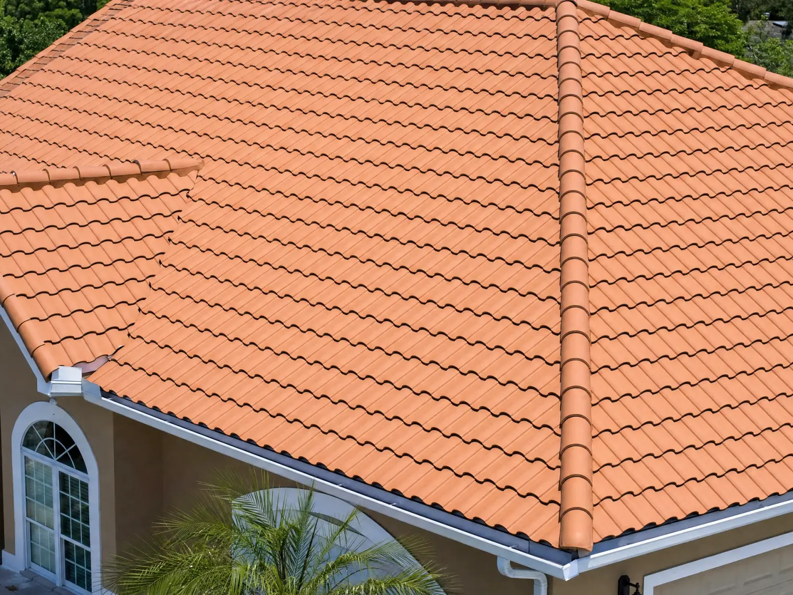 Roof Moss Removal